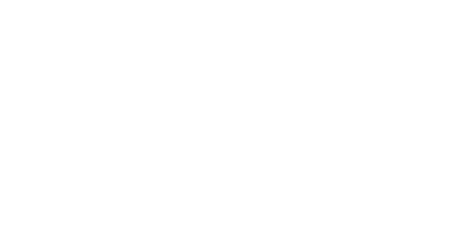 Berlanti Family Foundation logo